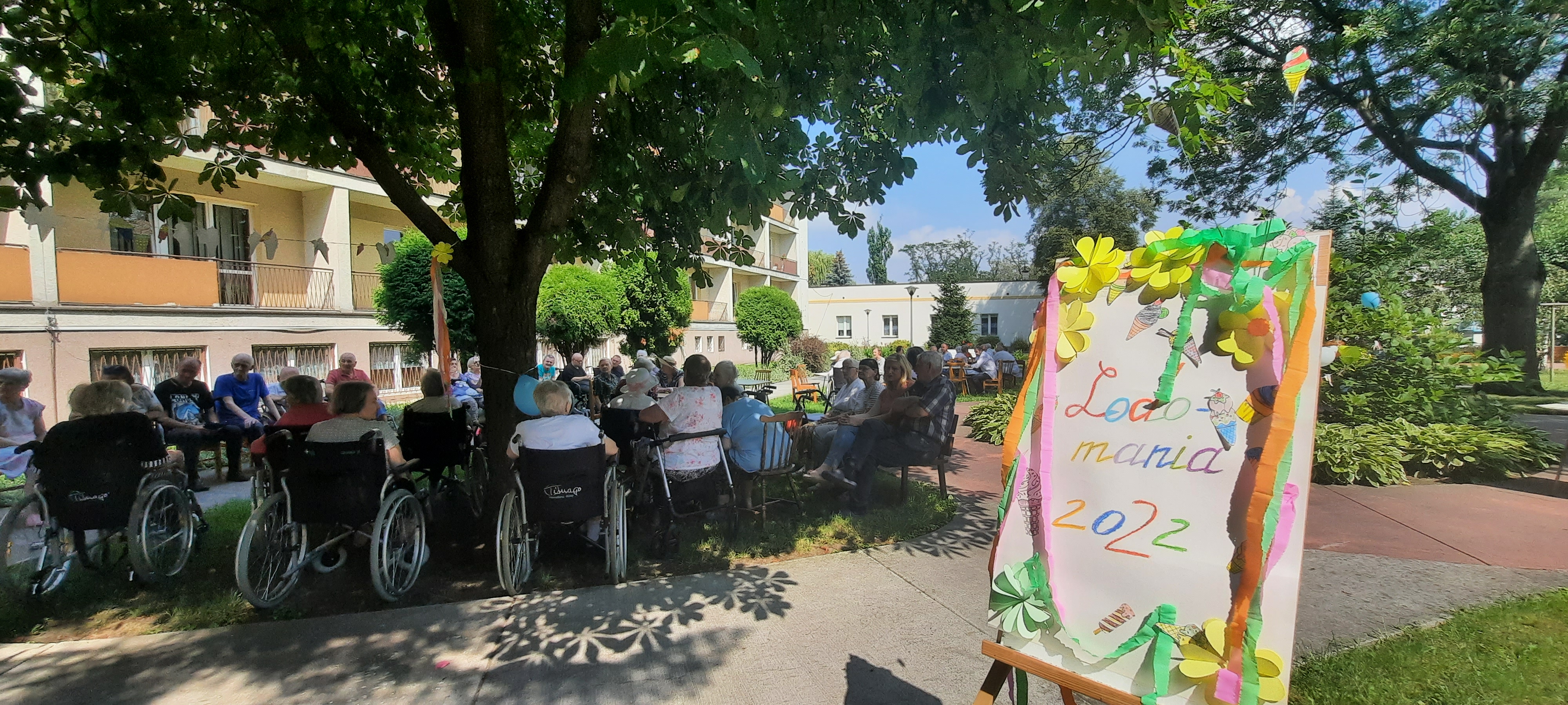 Sniorzy siedzą w cieniu jakie daje rozłożyste drzewo