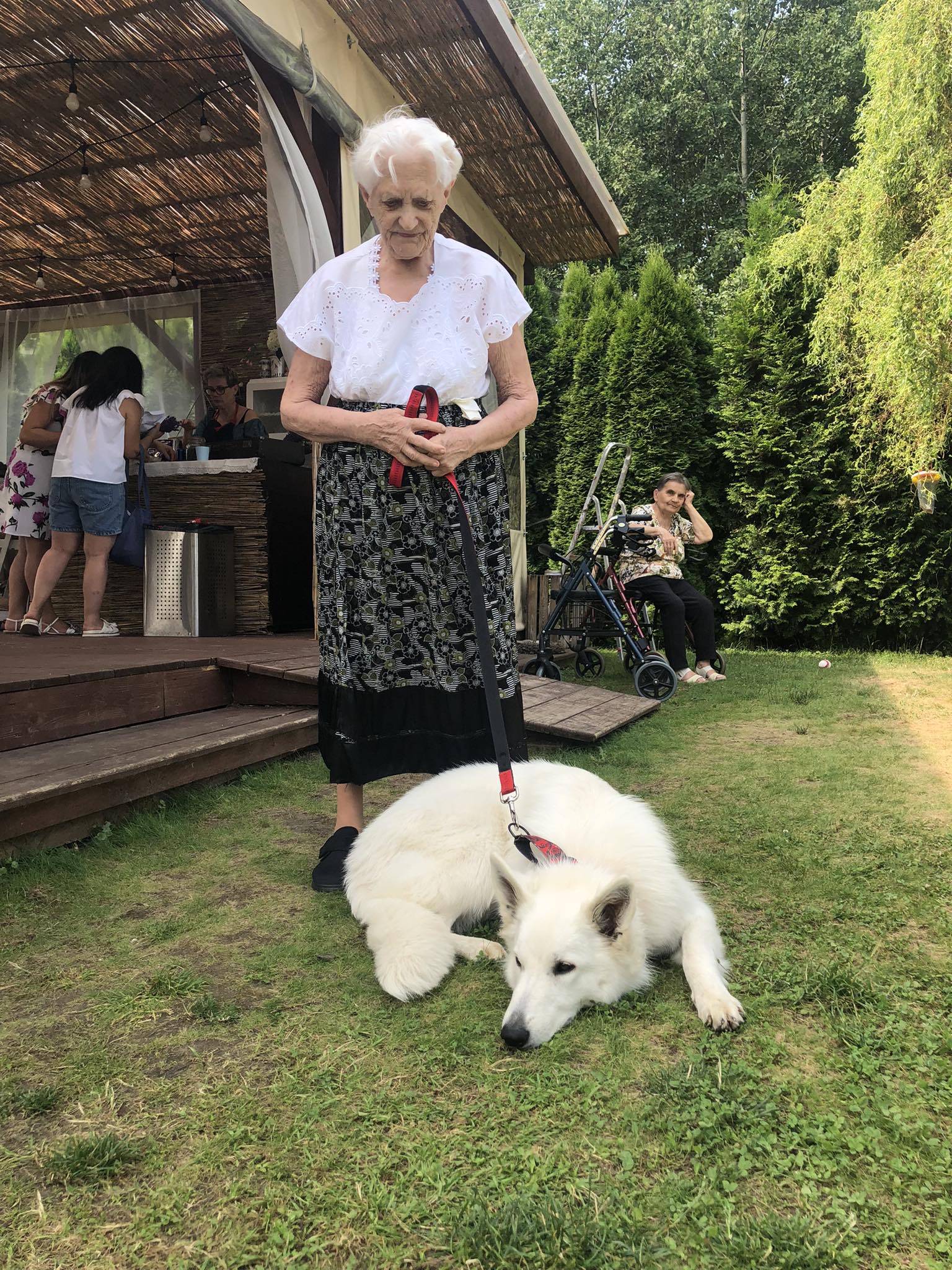 Seniorka pozuje z dużym białym psem